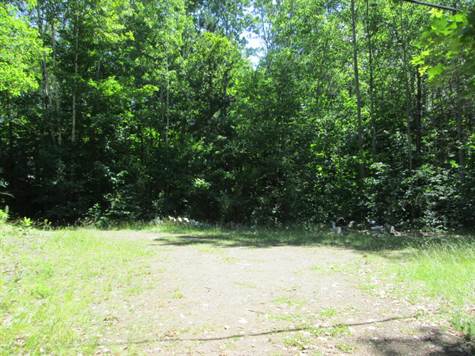 Separate Private Area for Garage/Shop/Vehicles?