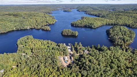 Aerial Views of Marina - North View