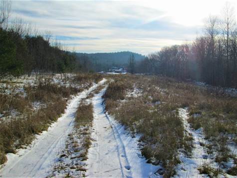 Road Through the Field