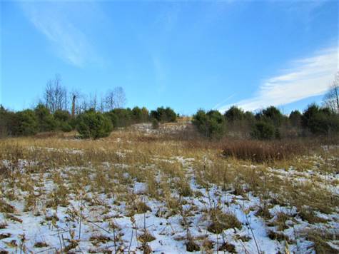 Let's Go Up The Hill