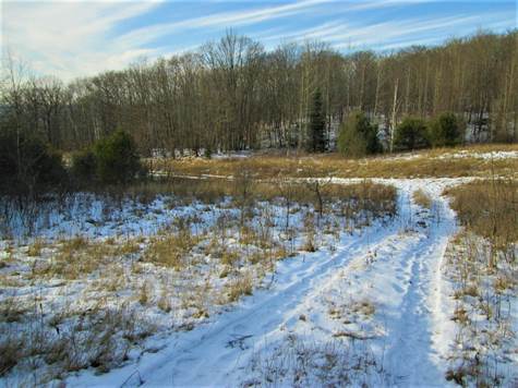 Road Through the Property