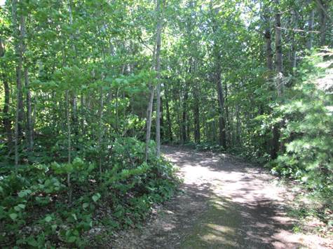 Driveway to Separate Space