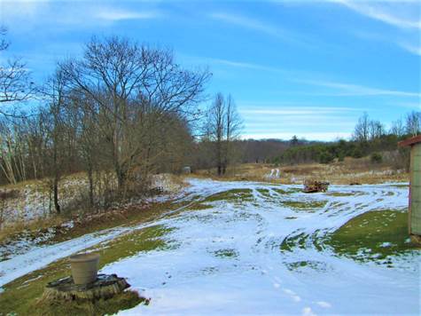 To the Back of The Property